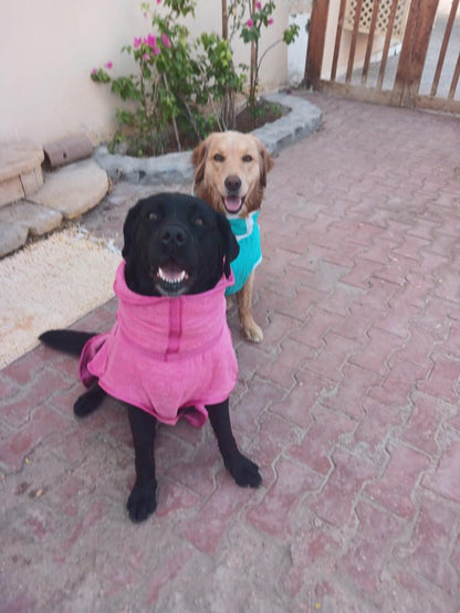 Dog Bornos