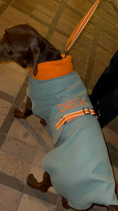Dog Coats
