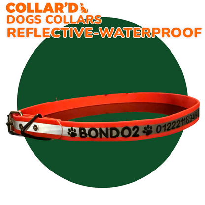 REFLECTIVE WATERPROOF COLLARS 2.5 CM WIDTH - MEDIUM TO LARGE DOGS