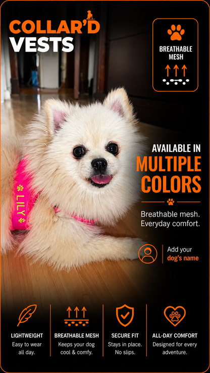 Dog Vests
