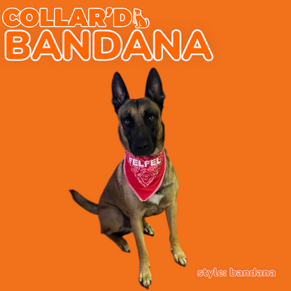 EMBROIDERED PERSONALIZED BANDANNAS