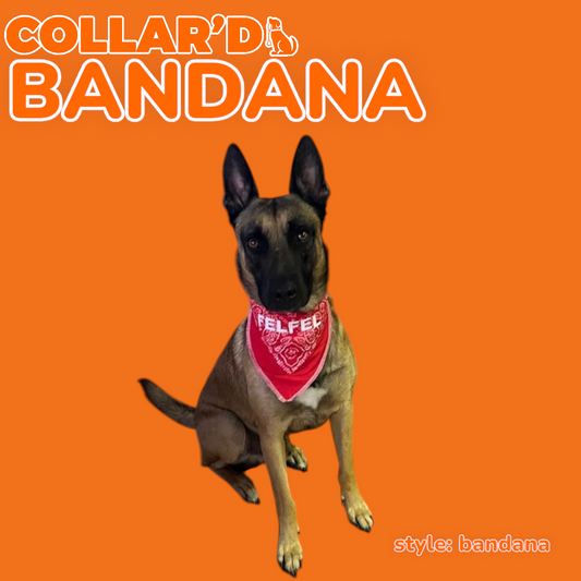 EMBROIDERED PERSONALIZED BANDANNAS