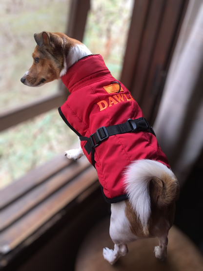 Dog Jumpers
