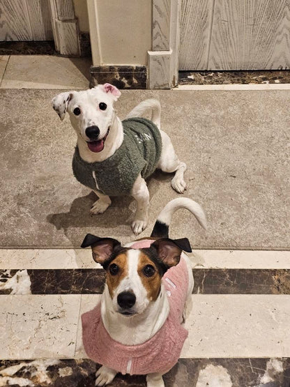 Dog Pullovers