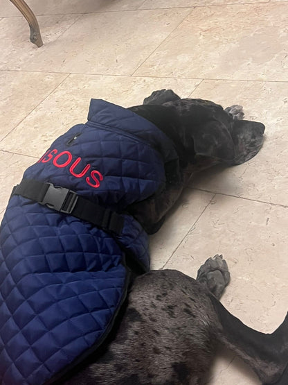 Dog Jumpers