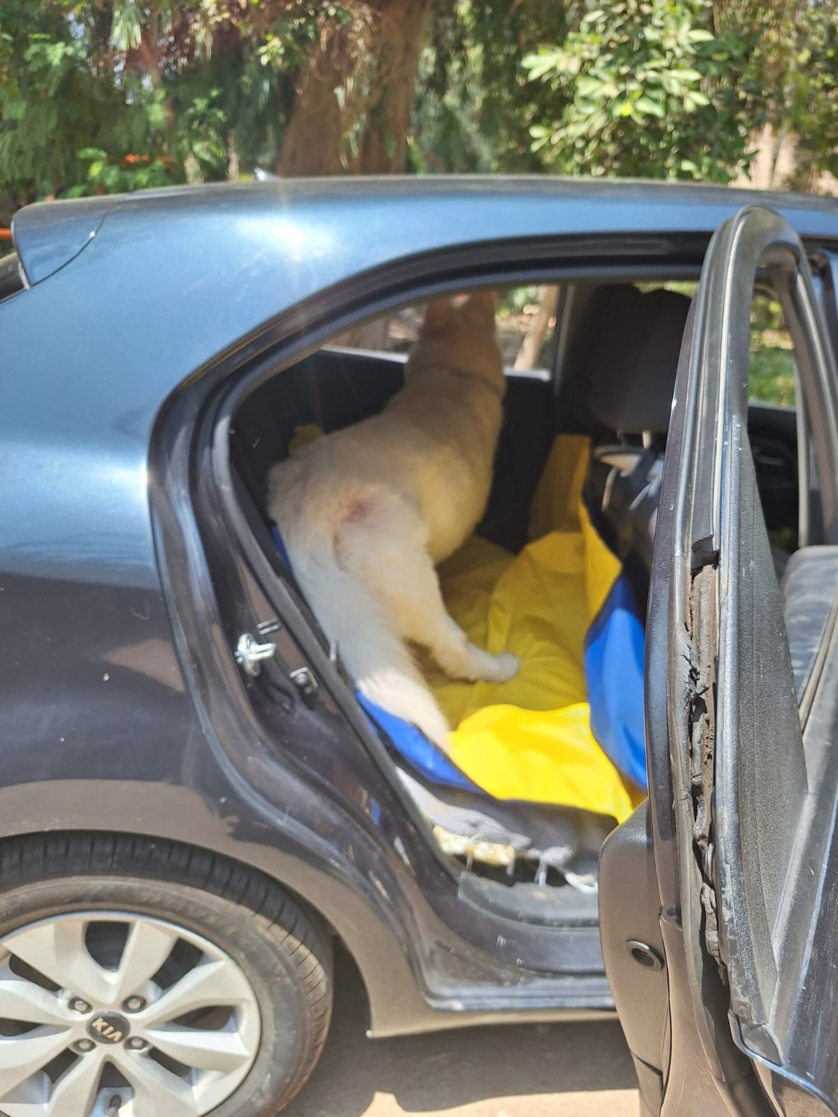 Car Cover