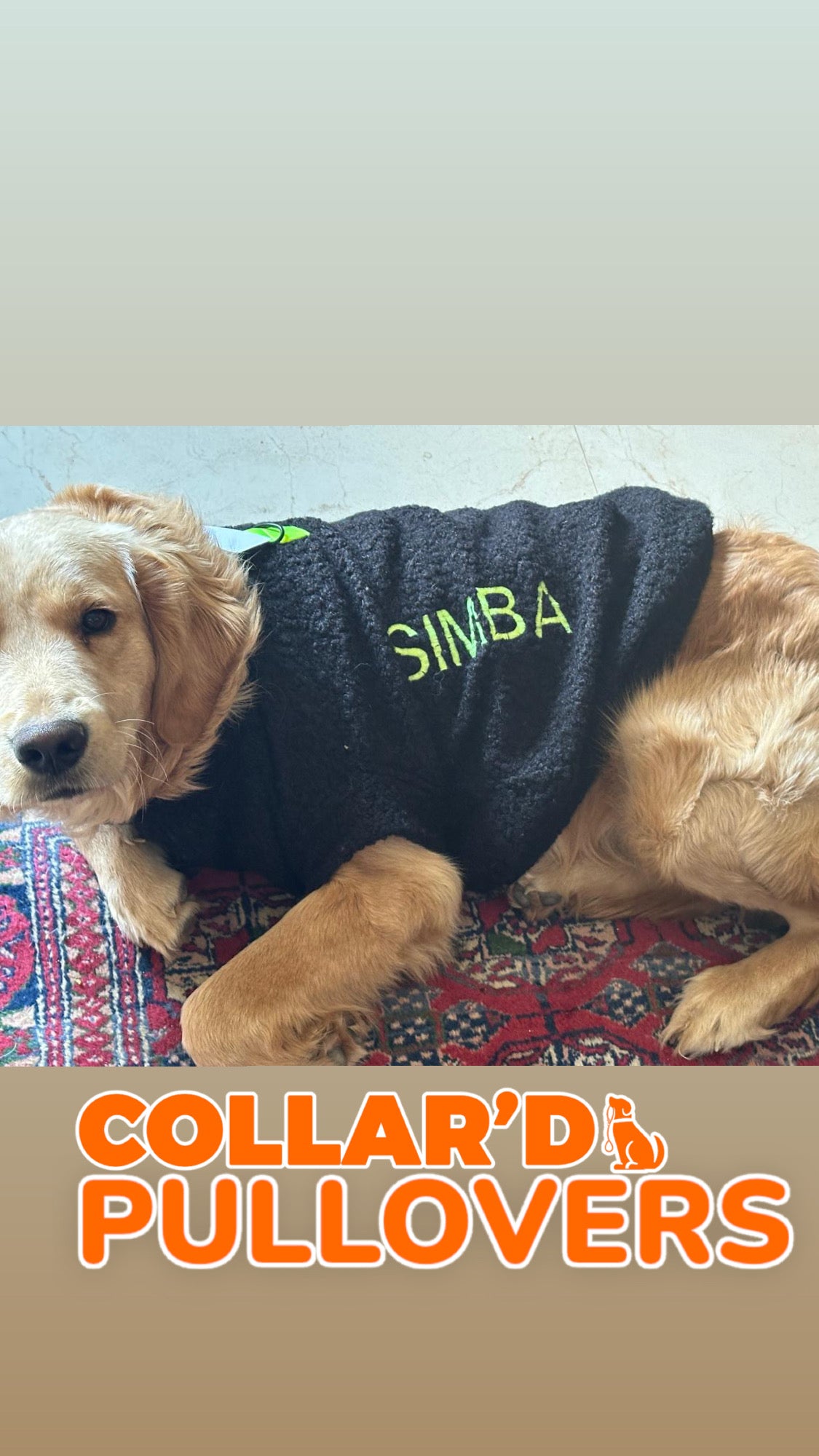 Dog Pullovers