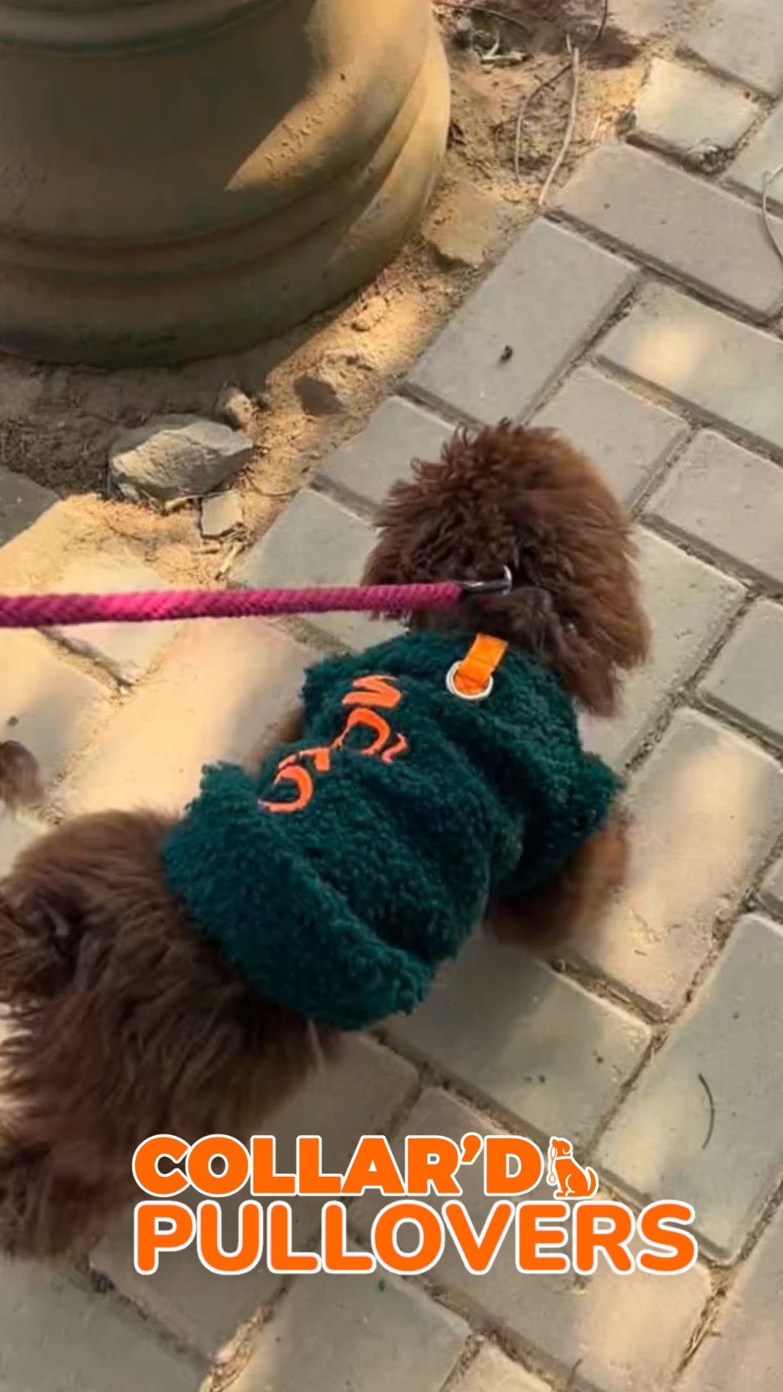 Dog Pullovers