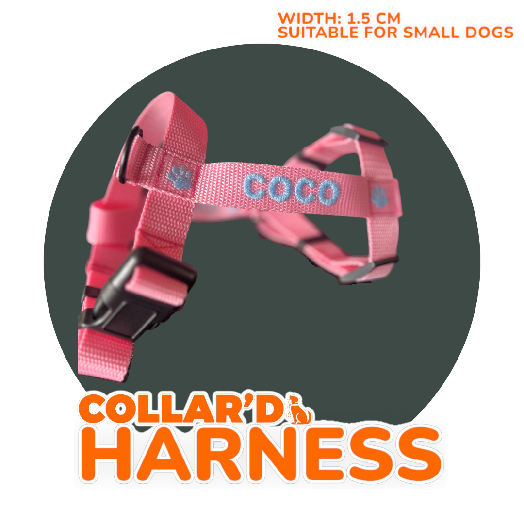 EMBROIDERED PERSONALIZED DOGS Y-HARNESS 1.5 CM FOR SMALL DOGS