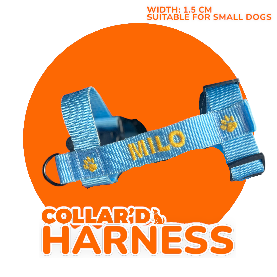 EMBROIDERED PERSONALIZED DOGS Y-HARNESS 1.5 CM FOR SMALL DOGS