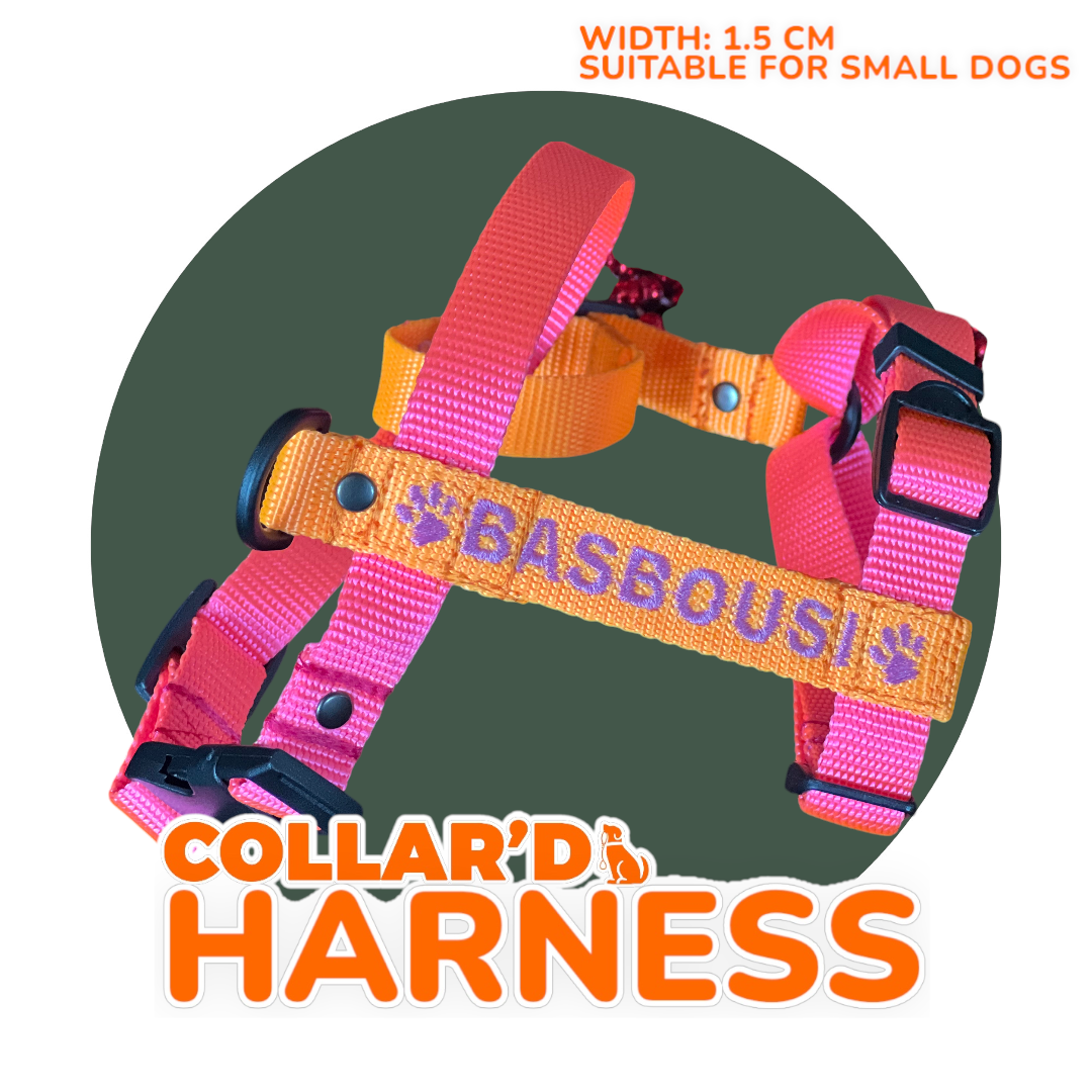 EMBROIDERED PERSONALIZED DOGS Y-HARNESS 1.5 CM FOR SMALL DOGS