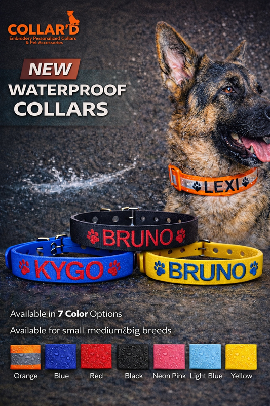 Waterproof Dog Collar