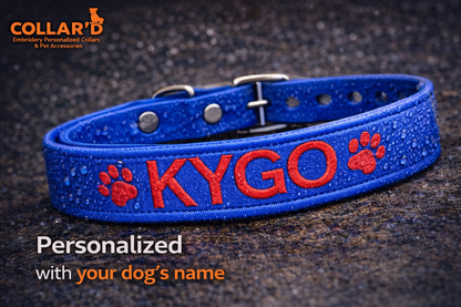 Waterproof Dog Collar