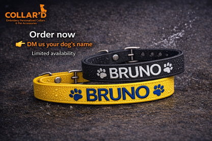 Waterproof Dog Collar