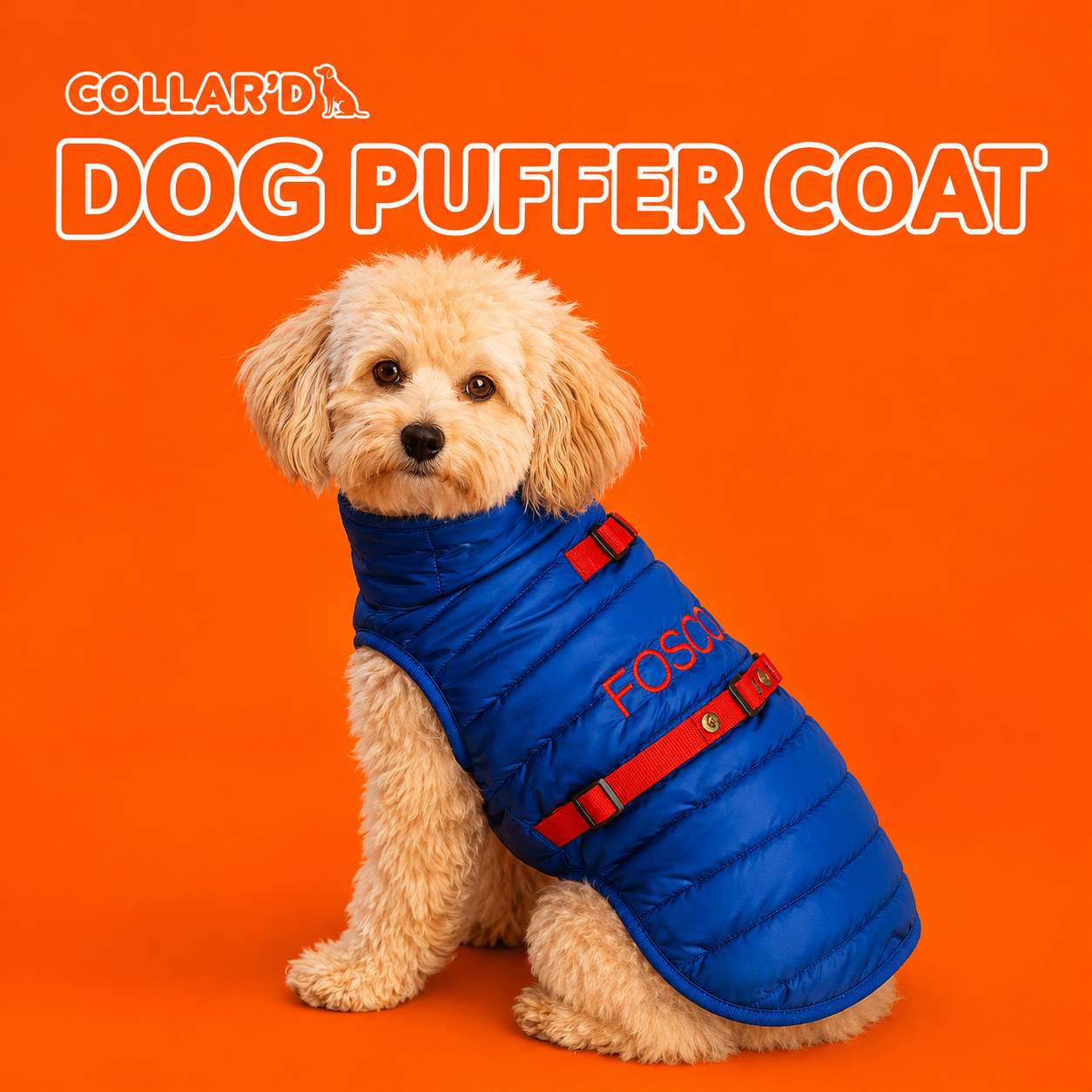 Dog Puffer Coat