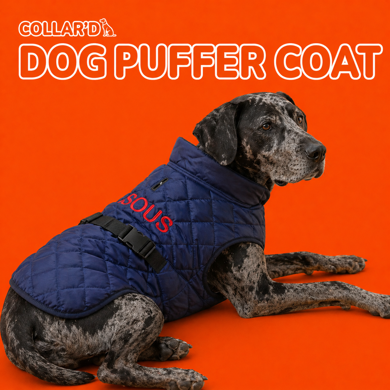 Dog Puffer Coat