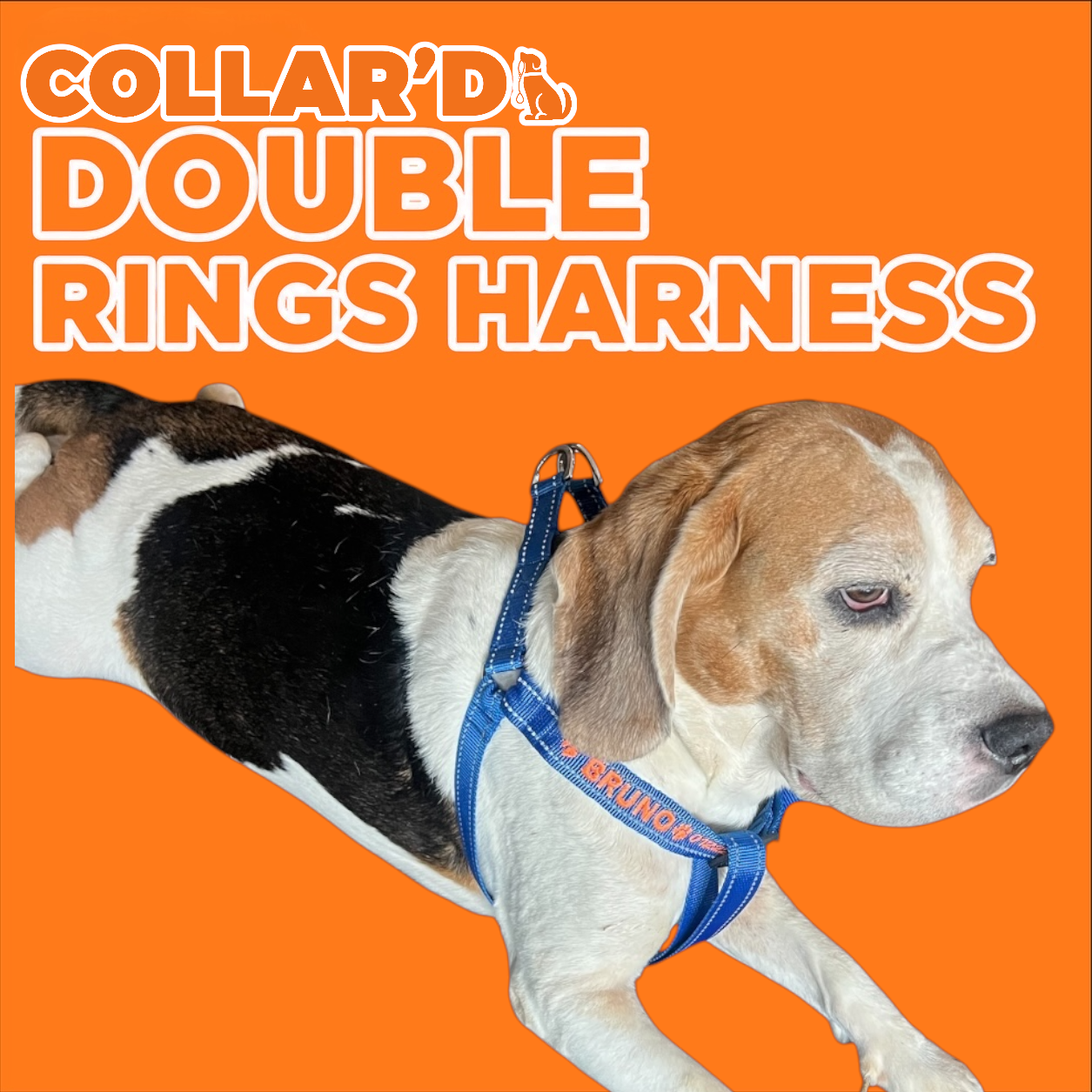 Dog Harness 2.5 cm width (Double-rings)