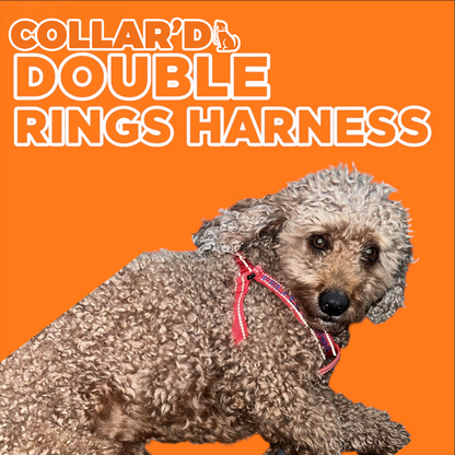 Dog Harness 2.5 cm width (Double-rings)