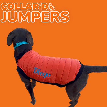 EMBROIDERED PERSONALIZED JUMPERS