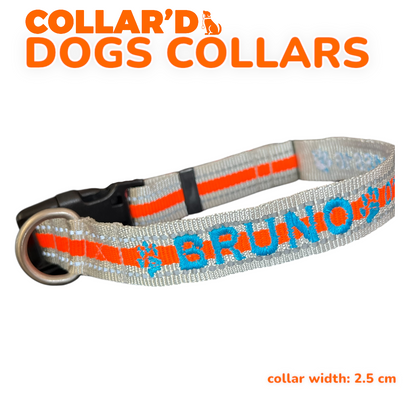 DOGS COLLARS WITH REFLECTIVE BORDERS