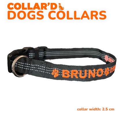 DOGS COLLARS WITH REFLECTIVE BORDERS
