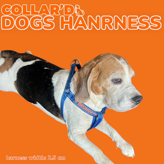 EMBROIDERED PERSONALIZED DOGS DOUBLE RINGS-HARNESS - 2.5 CM WIDTH