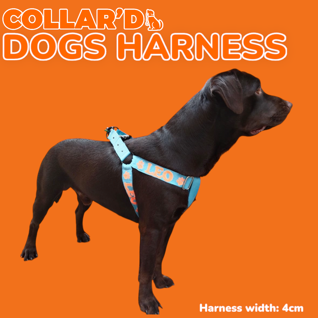 EMBROIDERED PERSONALIZED DOGS HARNESS - 4 CM WIDTH