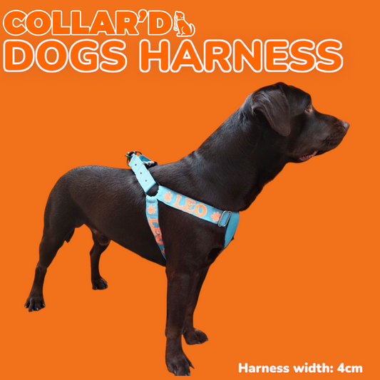EMBROIDERED PERSONALIZED DOGS HARNESS - 4 CM WIDTH