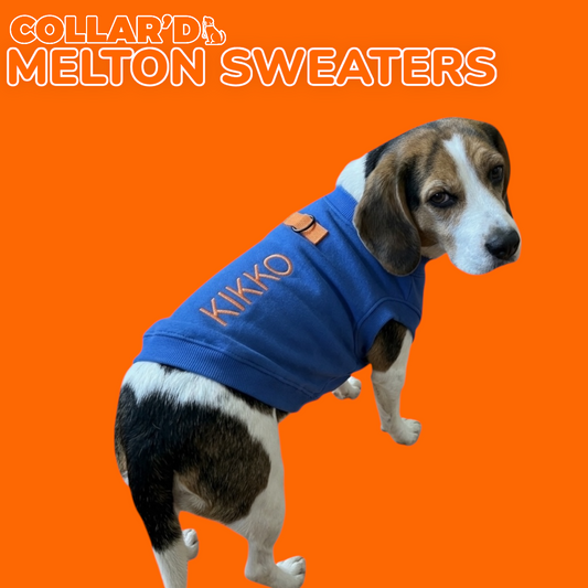 Dog Melton Sweater