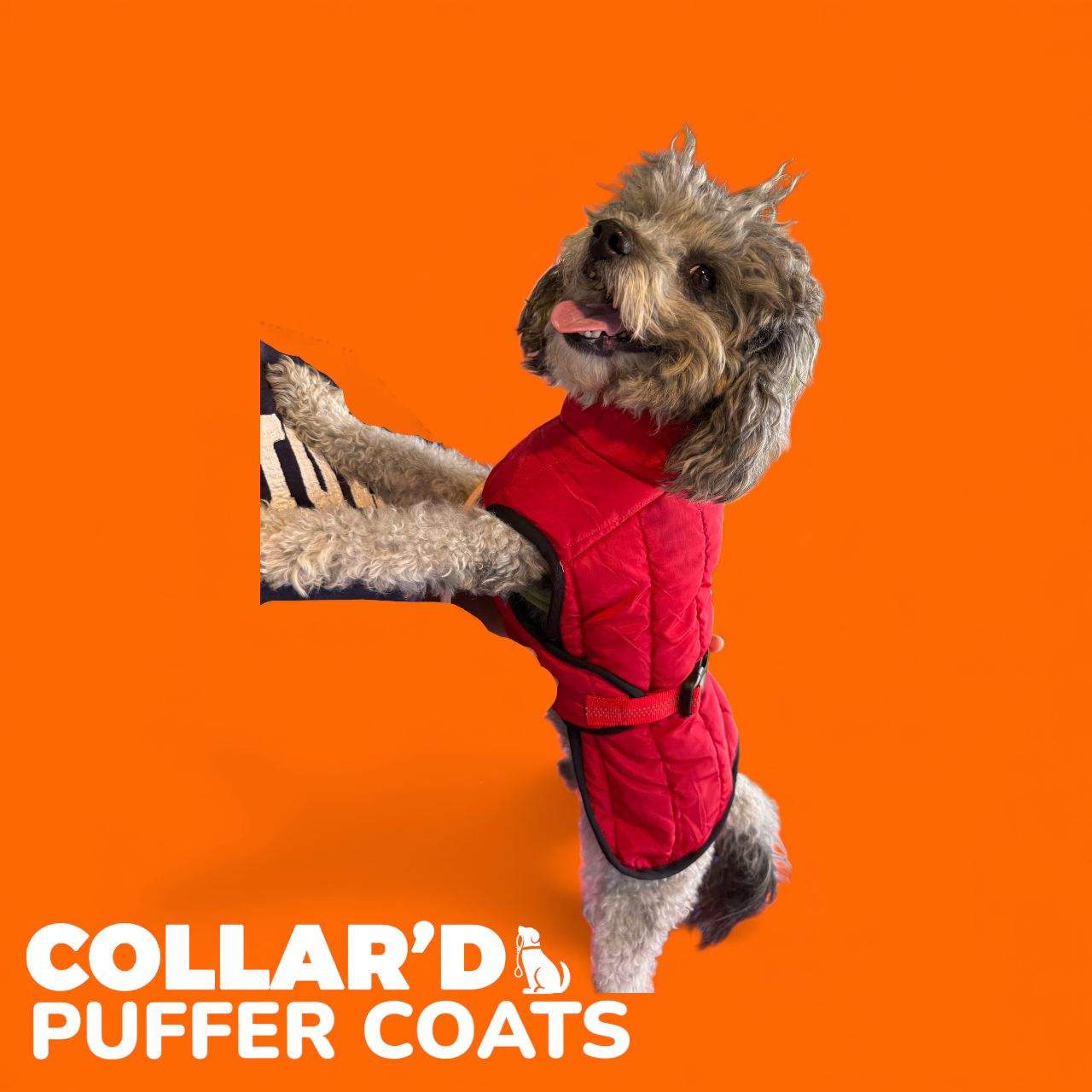 EMBROIDERED PERSONALIZED PUFFER COAT