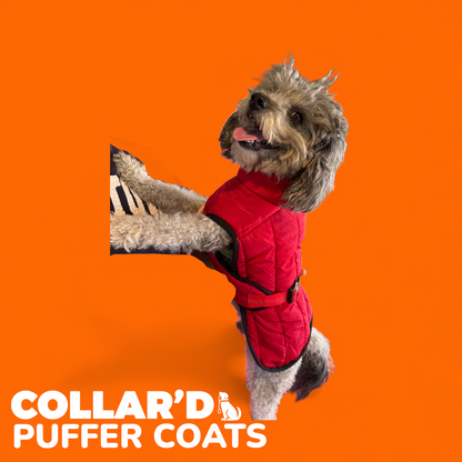 EMBROIDERED PERSONALIZED PUFFER COAT