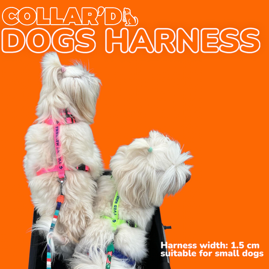 EMBROIDERED PERSONALIZED DOGS Y-HARNESS 1.5 CM FOR SMALL DOGS