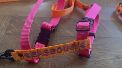 EMBROIDERED PERSONALIZED DOGS Y-HARNESS 1.5 CM FOR SMALL DOGS