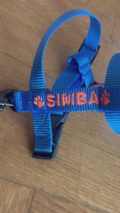 EMBROIDERED PERSONALIZED DOGS Y-HARNESS 1.5 CM FOR SMALL DOGS