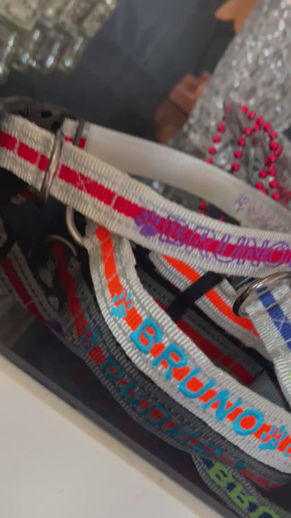 DOGS COLLARS WITH REFLECTIVE BORDERS