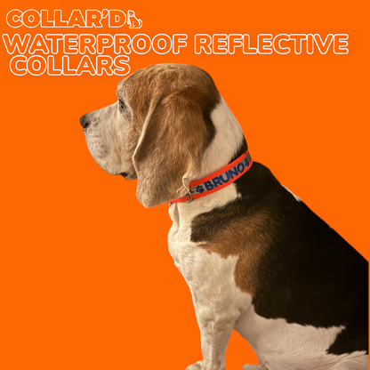 Waterproof Dog Collar