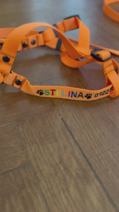 EMBROIDERED PERSONALIZED DOGS Y-HARNESS 1.5 CM FOR SMALL DOGS