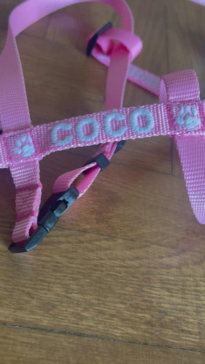 EMBROIDERED PERSONALIZED DOGS Y-HARNESS 1.5 CM FOR SMALL DOGS