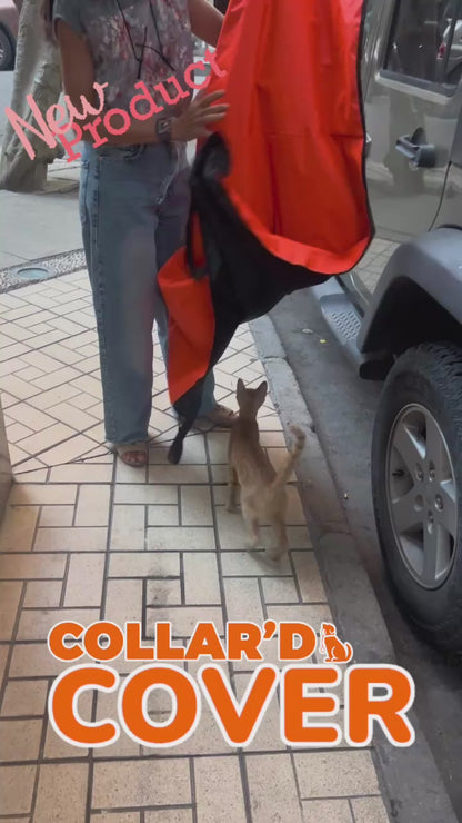 Car Cover